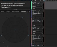Schermata_no_tasto_Audition.jpg