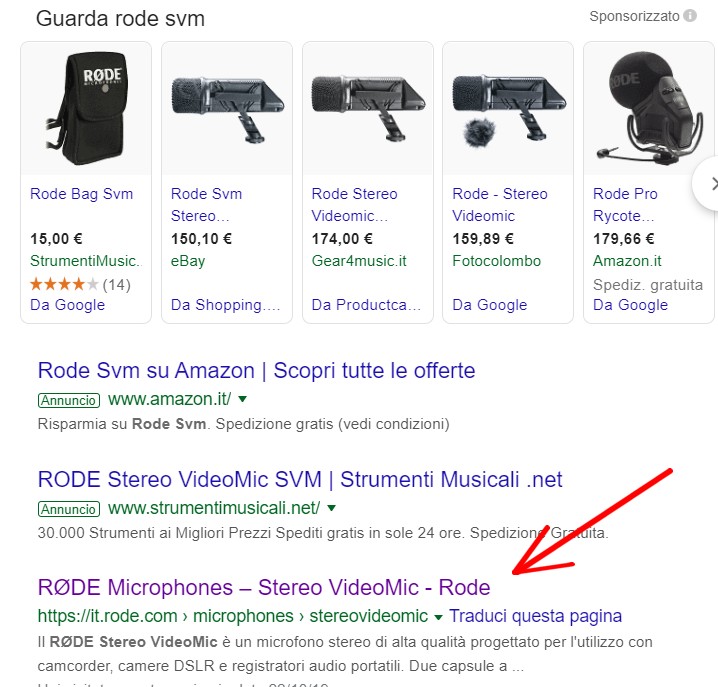 Google - cerca Rode SVM.jpg