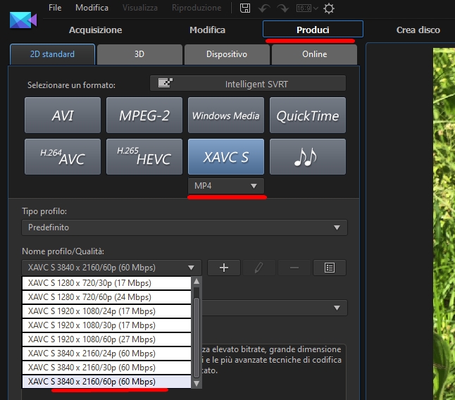 Cyberlik File output 4K 60p in XAVCS e MP4.jpg