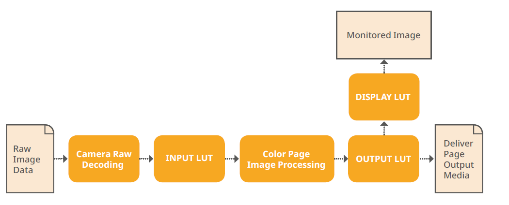 schema applicazione lut su file raw - dvrs.png