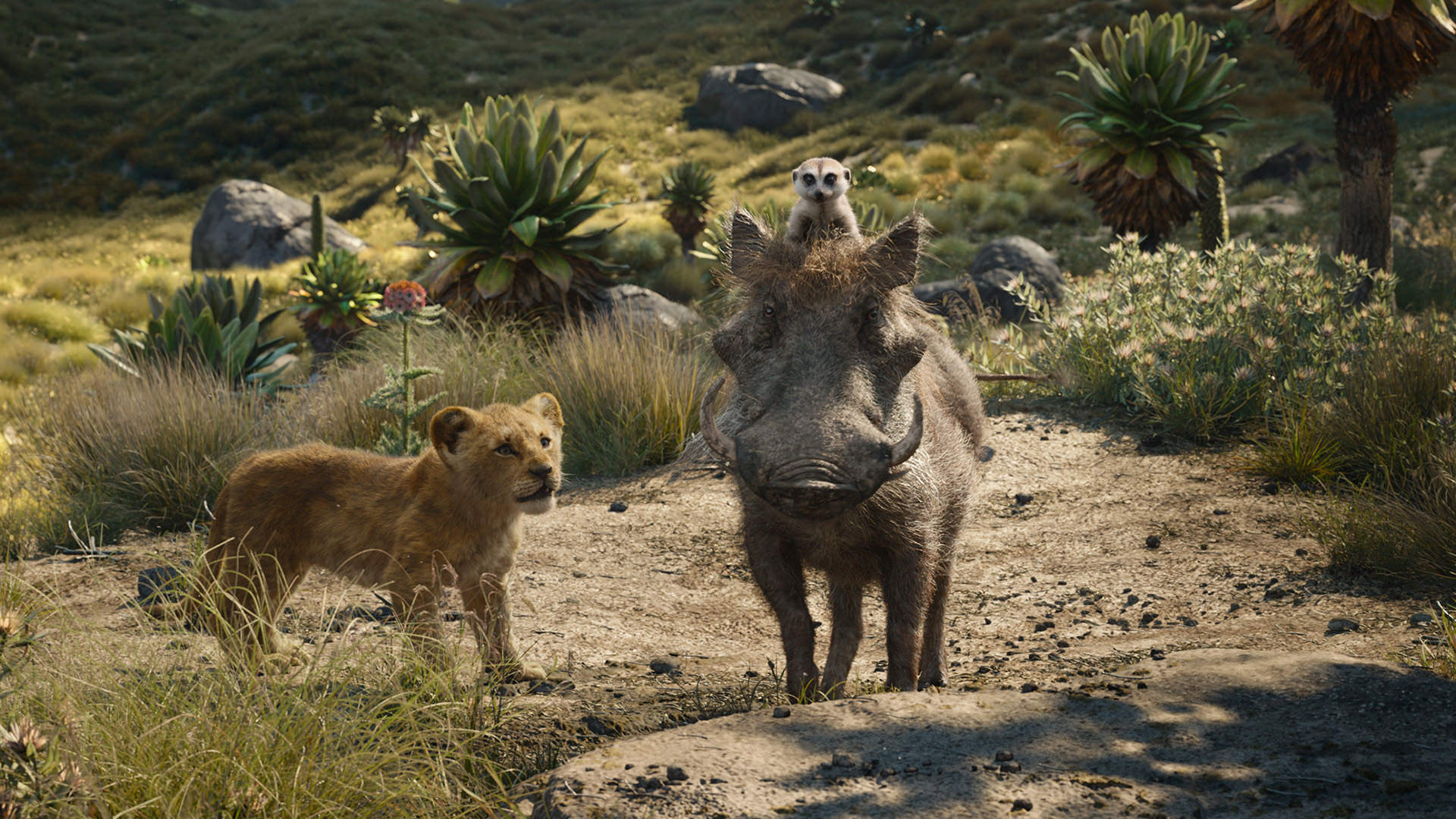 The Lion King